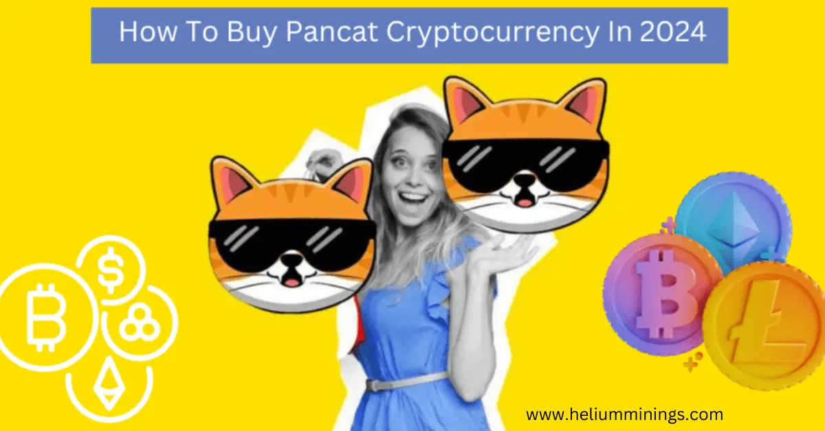 how to buy pancat cryptocurrency